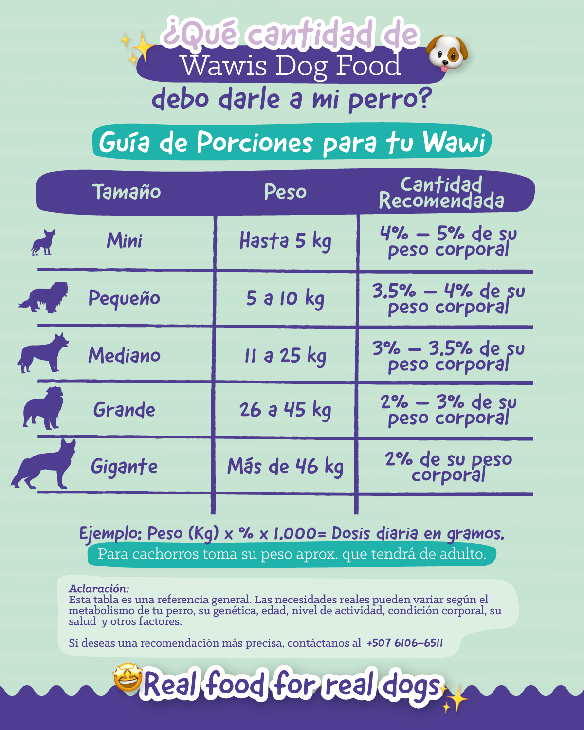 Beef & Pumpkin - comida para perros premium