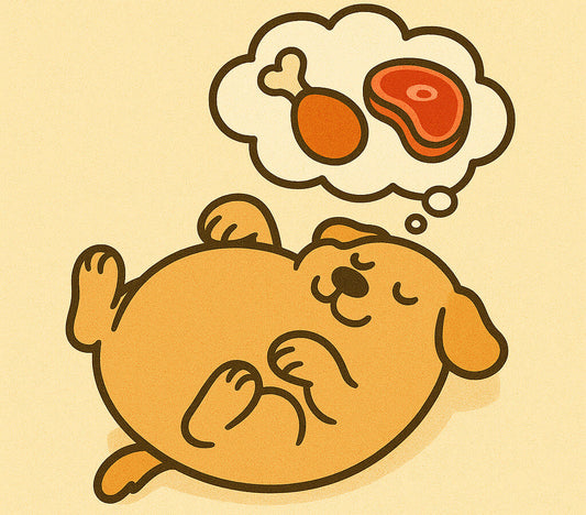 Perros con sobrepeso: causas, síntomas y soluciones