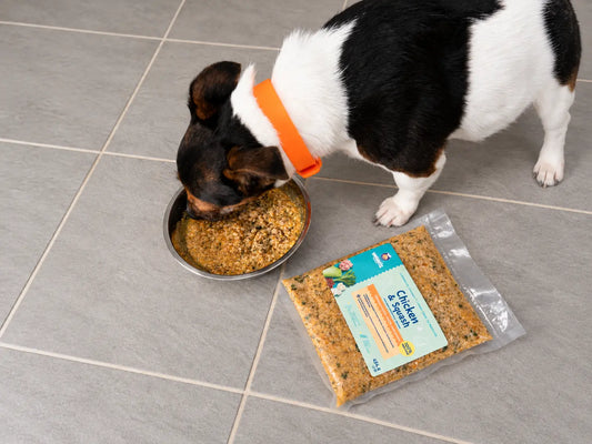 Problemas digestivos en perros y salud intestinal | Wawis