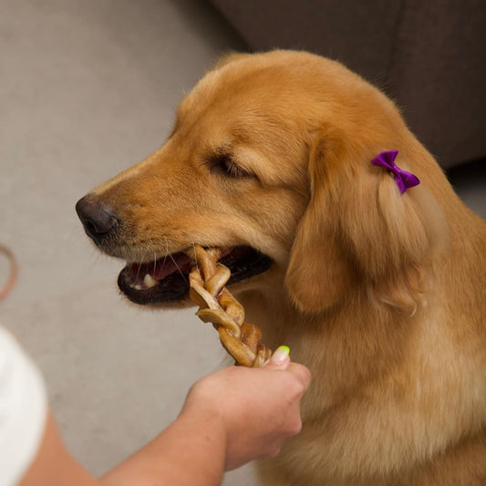 Bully Braids