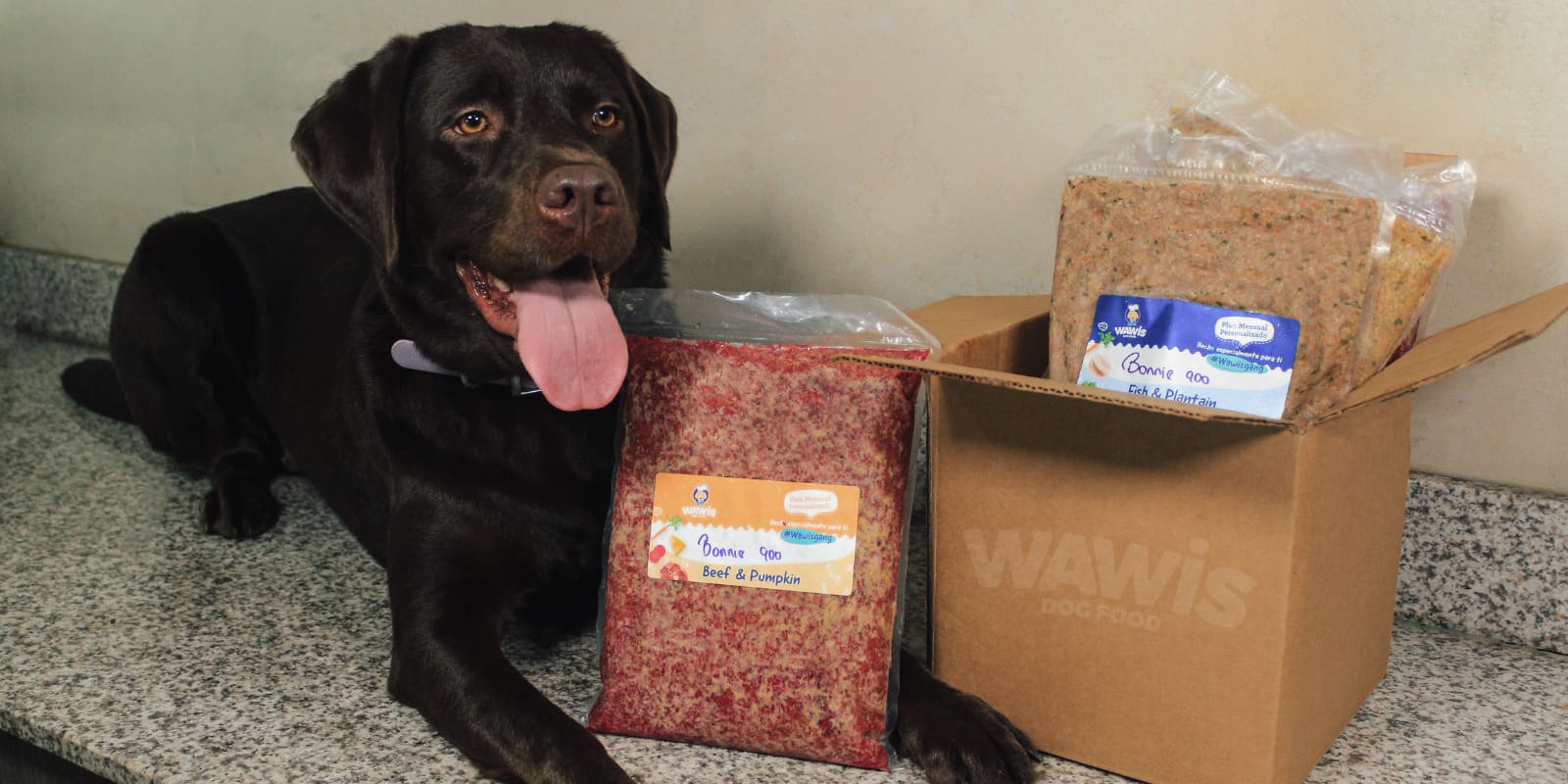 Comida Natural para perros en Panamá