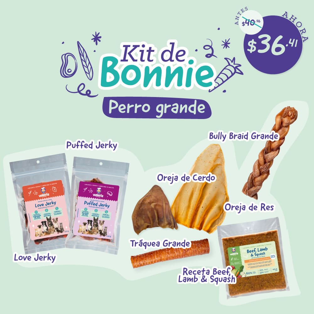 Kit de Bonnie - Perro Grande