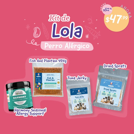 Kit de Lola – Perro Alérgico