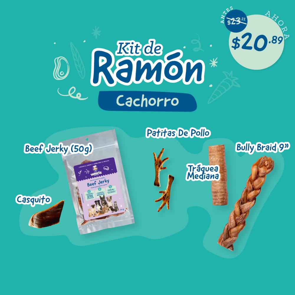 Kit de Ramón – Cachorro