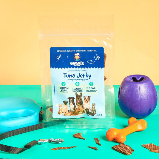 Tuna Jerky