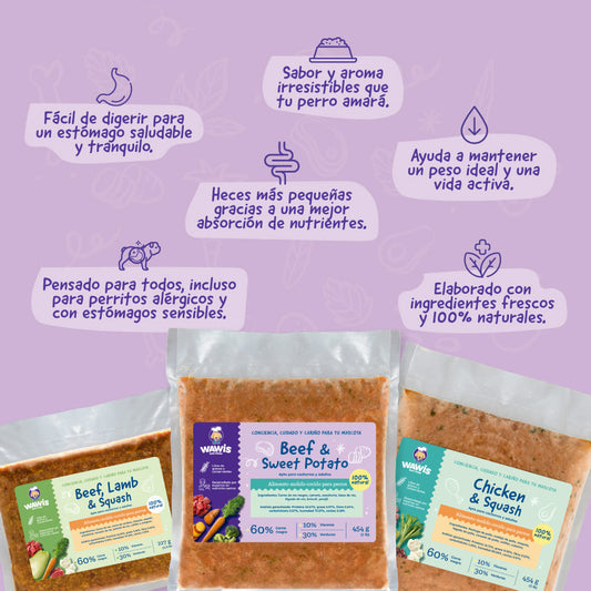 comida para perros premium Beef & Pumpkin