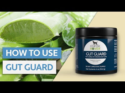 Gut Guard / Probióticos