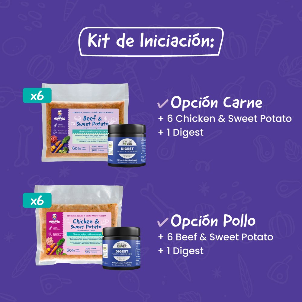 KIT BÁSICO DE INICIACIÓN – The Wisoul